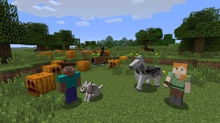 media/pim/minecraft-super-mario-mash-up-pack-inclus-0045496336301_4.jpg