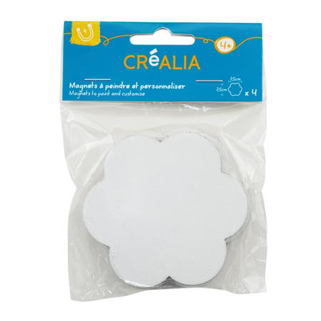 media/pim/mini-toile-magnetique-fleur-x4-3700408451042_5.jpg