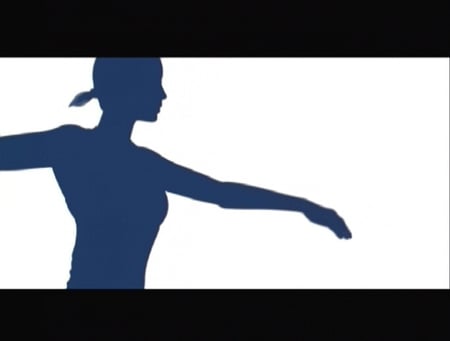 media/pim/mon-coach-personnel-mon-programme-forme-et-fitness-wii-3307211612082_3.jpg
