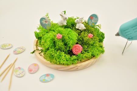 media/pim/mousse-d-islande-vert-clair-30g-4006166100420_10.JPG