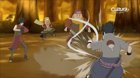media/pim/naruto-shippuden-ultimate-ninja-storm-3391891959421_6.jpg