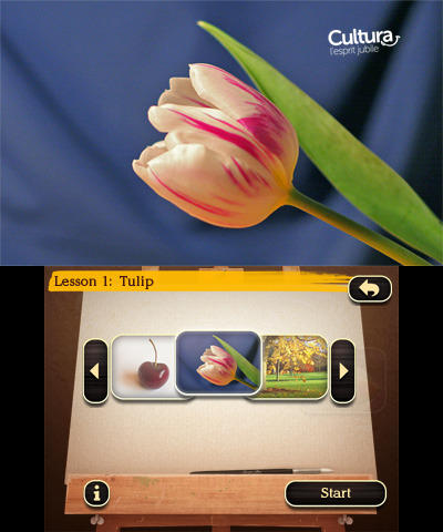 media/pim/new-art-academy-3ds-0045496522254_3.jpg