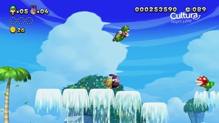 media/pim/new-super-luigi-edition-limite-0045496331986_3.jpg