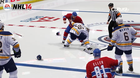 media/pim/nhl-14-5030949111524_3.jpg