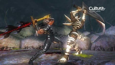 media/pim/ninja-gaiden-5060073308750_4.jpg