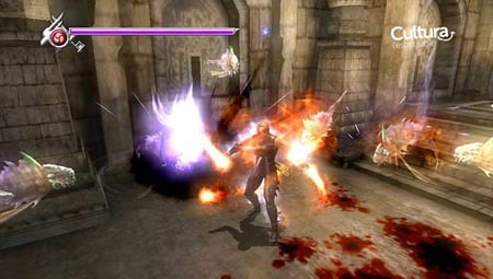 media/pim/ninja-gaiden-5060073308750_9.jpg