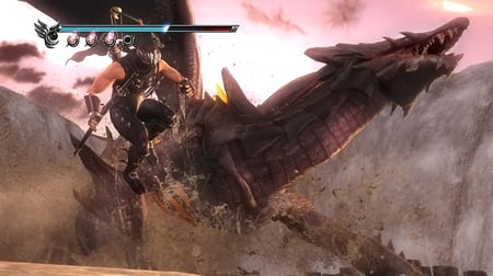 media/pim/ninja-gaiden-sigma-2-5060073306756_2.jpg