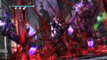 media/pim/ninja-gaiden-sigma-2-5060073306756_7.jpg