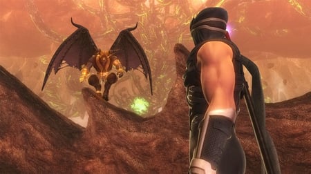 media/pim/ninja-gaiden-sigma-2-5060073306756_9.jpg