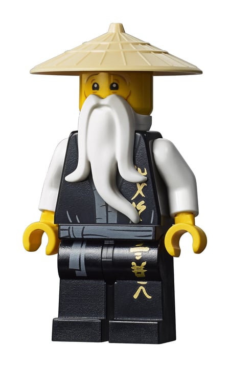 media/pim/ninjago-le-monastere-de-spinjitzu-5702016367508_47.jpg
