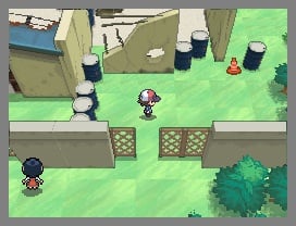 media/pim/nintendo-dsi-blanche-et-pokemon-0045496444686_5.jpg