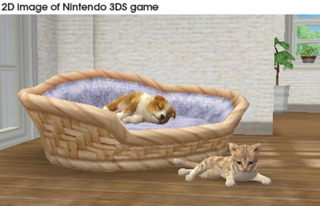 media/pim/nintendogs-cats-bouledogue-0045496528607_5.jpg