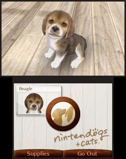 media/pim/nintendogs-cats-bouledogue-francais-ses-nouveaux-amis-3ds-0045496520144_2.jpg