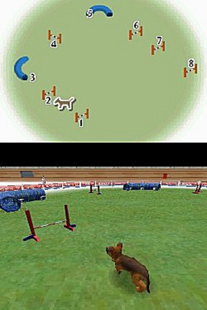 media/pim/nintendogs-labrador-ses-amis-mis-0045496736453_11.jpg