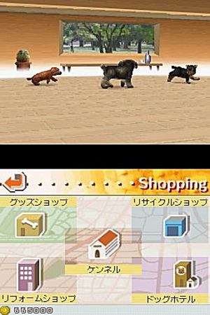 media/pim/nintendogs-labrador-ses-amis-mis-0045496736453_8.jpg
