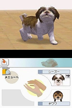 media/pim/nintendogs-labrador-ses-amis-mis-0045496736453_9.jpg