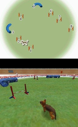 media/pim/nintendogs-teckel-ses-amis-s-0045496735517_9.jpg