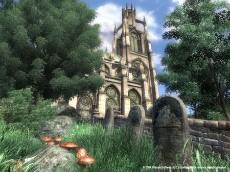 media/pim/oblivion-5e-anniversaire-essentials-0093155147287_6.jpg