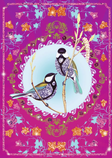media/pim/oiseaux-a-paillettes-oiseaux-a-paillettes-3070900095014_7.jpg