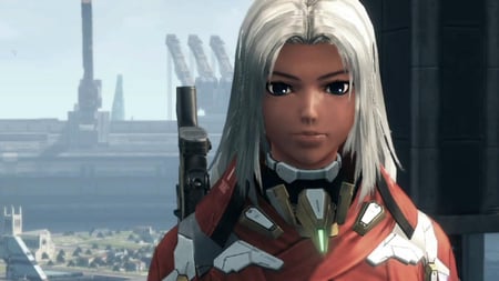 media/pim/pack-collector-xenoblade-0045496335090_4.jpg