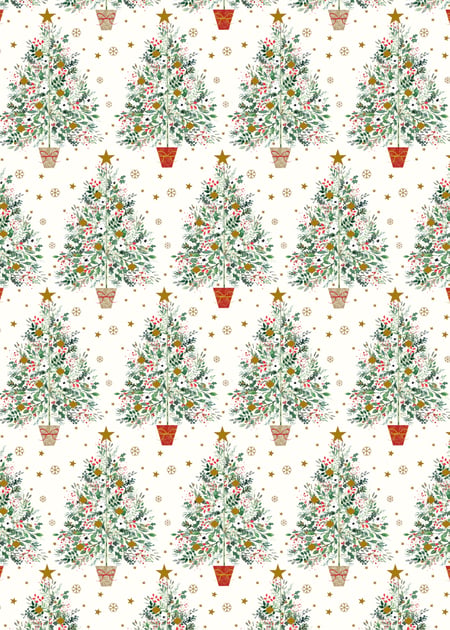 media/pim/papier-kdo-happy-christmas-1-5x0-7m-3494155032004_3.jpg