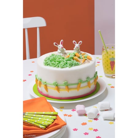 media/pim/pate-a-sucre-500gg-blanc-3700392472108_2.jpg