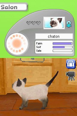 media/pim/petz-ma-famille-chaton-ds-3307211606852_10.jpg