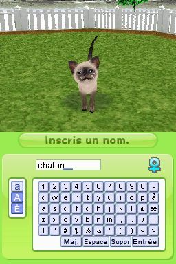 media/pim/petz-ma-famille-chaton-ds-3307211606852_8.jpg
