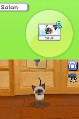 media/pim/petz-ma-famille-chaton-ds-3307211606852_9.jpg
