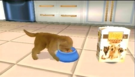 media/pim/petz-ma-famille-chiots-ds-3307211607286_11.jpg