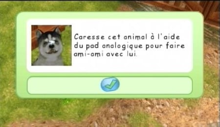 media/pim/petz-ma-famille-chiots-ds-3307211607286_2.jpg