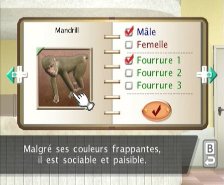 media/pim/petz-ma-famille-singe-ds-3307211607132_4.jpg