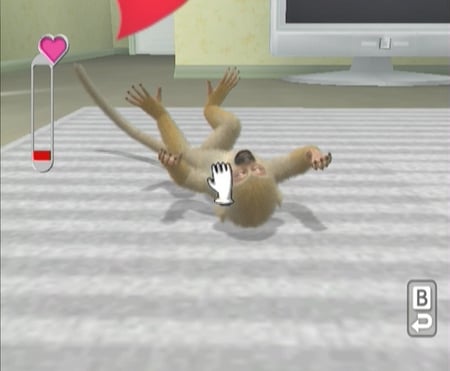 media/pim/petz-ma-famille-singe-ds-3307211607132_9.jpg