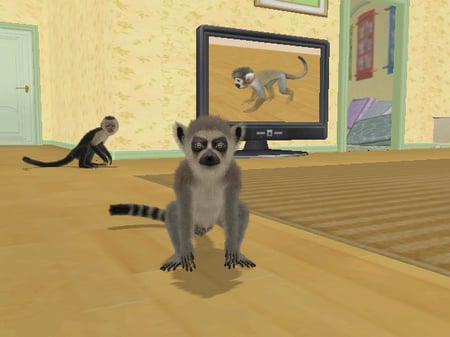 media/pim/petz-singes-et-compagnie-fr-wii-3307211607736_10.jpg