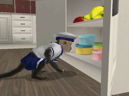 media/pim/petz-singes-et-compagnie-fr-wii-3307211607736_11.jpg