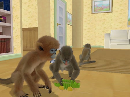 media/pim/petz-singes-et-compagnie-fr-wii-3307211607736_2.jpg