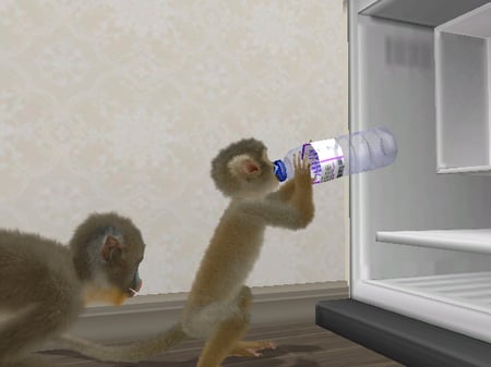 media/pim/petz-singes-et-compagnie-fr-wii-3307211607736_4.jpg