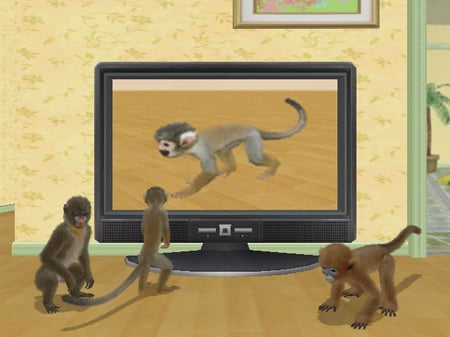 media/pim/petz-singes-et-compagnie-fr-wii-3307211607736_5.jpg