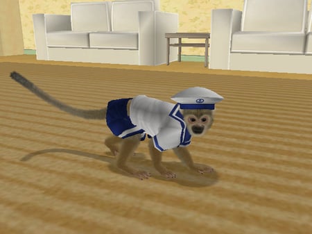 media/pim/petz-singes-et-compagnie-fr-wii-3307211607736_7.jpg