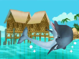 media/pim/planete-nature-au-secours-des-animaux-marins-ds-3307211608559_2.jpg