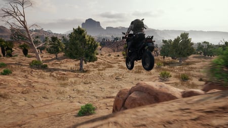 media/pim/playerunknown-s-battlegrounds-0889842271409_4.jpg
