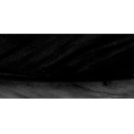 media/pim/plume-16-20cm-sachet-8pce-noir-4006166405068_1.jpg