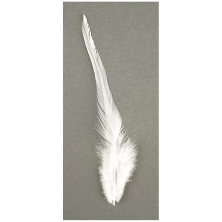 media/pim/plume-mm-blanc-4006166634987_1.jpg