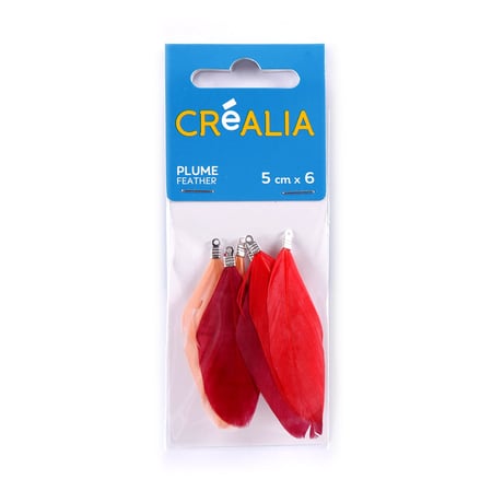 media/pim/plumes-assorties-5cm-corail-rouge-3700408401559_0.JPG