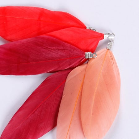 media/pim/plumes-assorties-5cm-corail-rouge-3700408401559_2.JPG