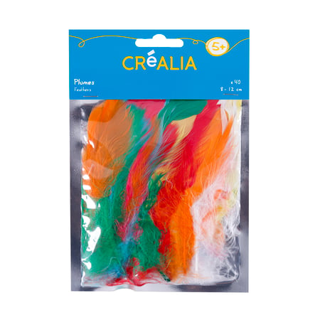 media/pim/plumes-multicolores-x-40-3700408399764_1.JPG