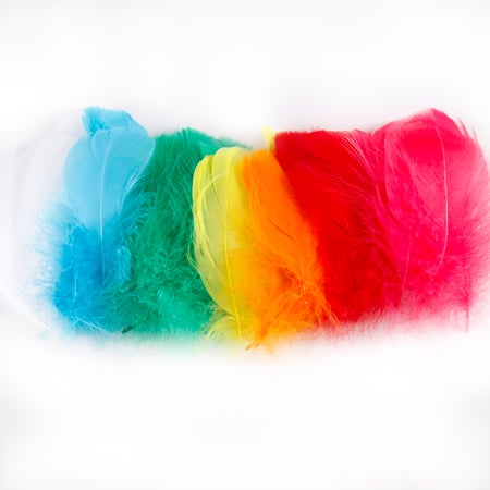 media/pim/plumes-multicolores-x-40-3700408399764_2.JPG
