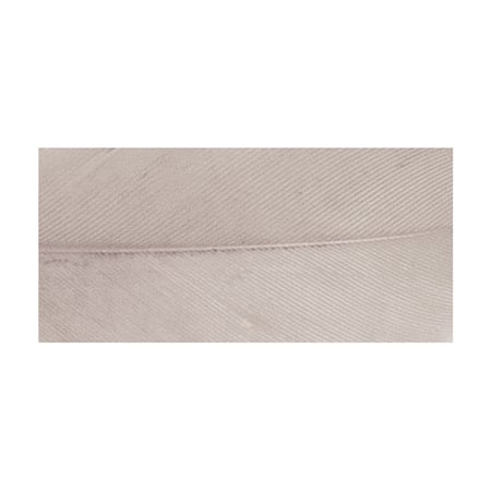 media/pim/plumes-pm-gris-clair-4006166269233_1.jpg