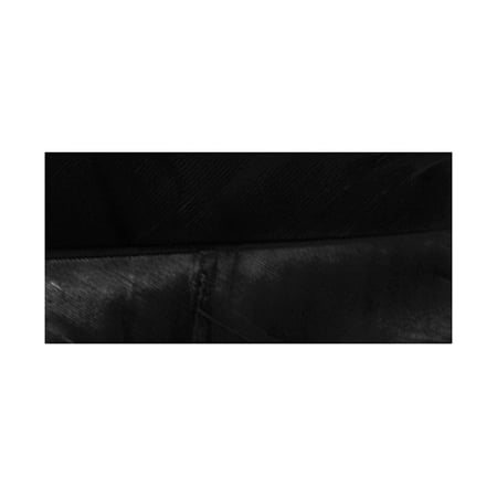 media/pim/plumes-pm-noir-4006166271229_1.jpg