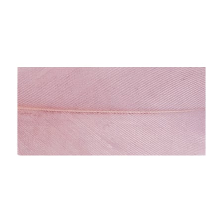 media/pim/plumes-pm-rose-antique-4006166269226_1.jpg